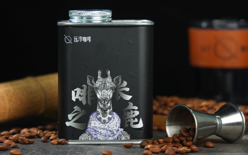 洪都拉斯荔枝兰