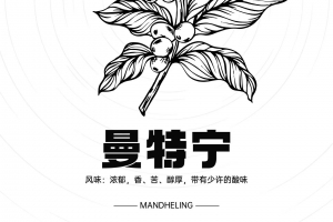 每天认识一款咖啡之曼特宁