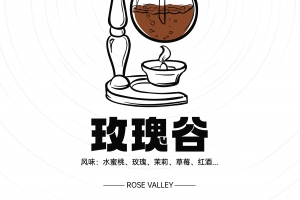 每天认识一款咖啡之玫瑰谷