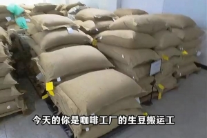 今天是咖啡烘焙工厂的生豆搬运工