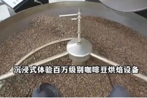 跟远淳咖啡沉浸式体验百万级别设备的咖啡豆烘焙