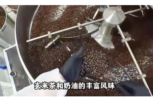 今天跟远淳咖啡烘一批很特别的咖啡豆