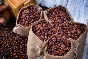 今天烘焙一批来自巴西的咖啡豆